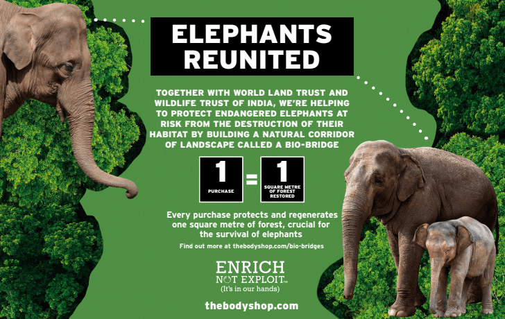 Screen Shot 2017-10-08 at 13.52.55