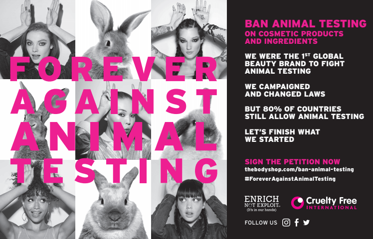 Screen Shot 2017-10-08 at 13.54.05