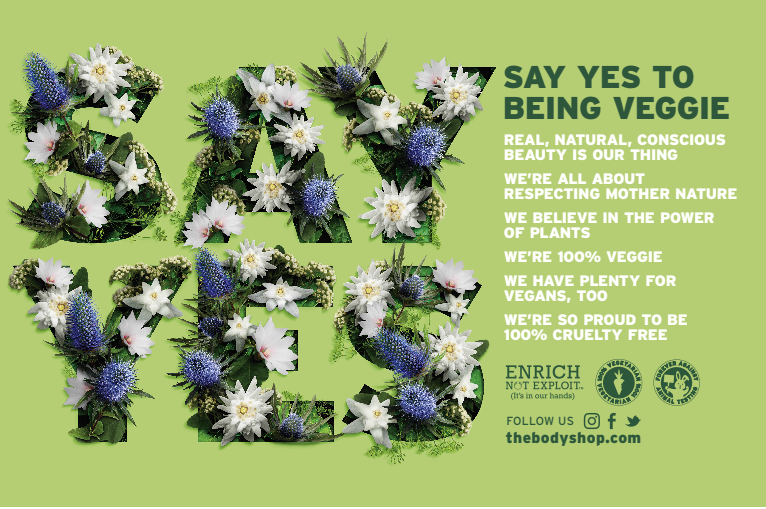 Screen Shot 2017-11-08 at 11.17.17