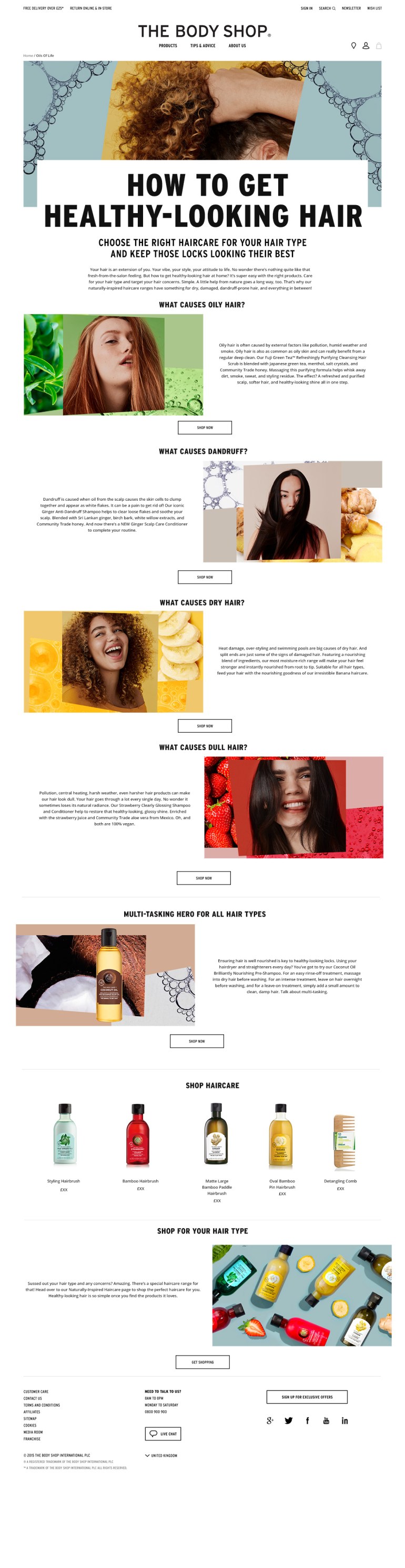 HEALTHY-HAIR_GUIDE_landing_NET