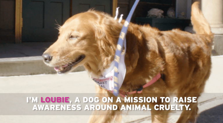 Screen Shot 2018-05-16 at 11.49.39.png