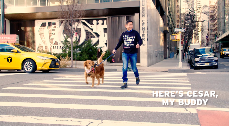 Screen Shot 2018-05-16 at 11.49.59.png