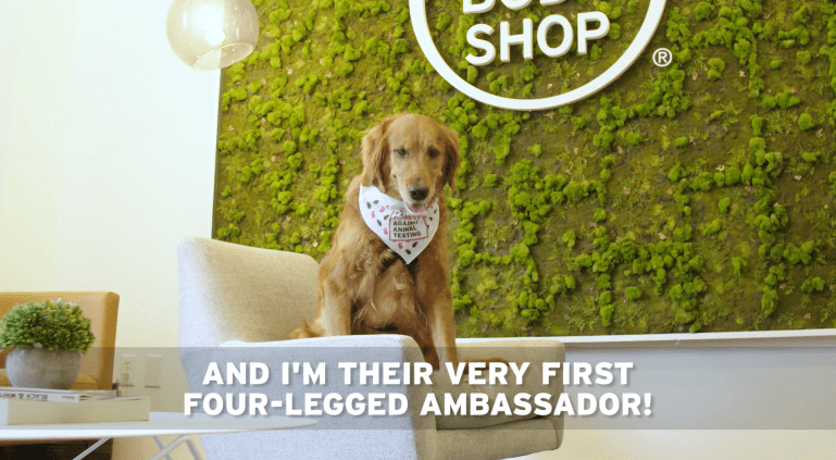 Screen Shot 2018-05-16 at 11.51.08.png