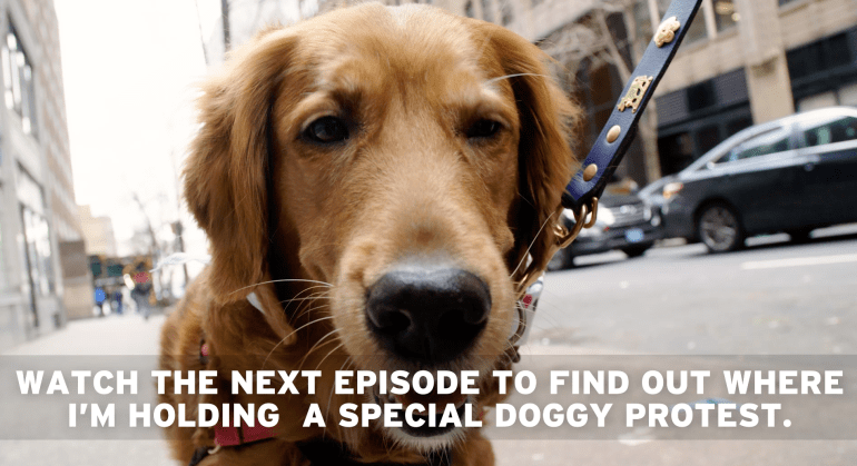 Screen Shot 2018-05-16 at 11.51.20.png