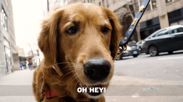 Screen Shot 2018-05-16 at 11.52.28.png